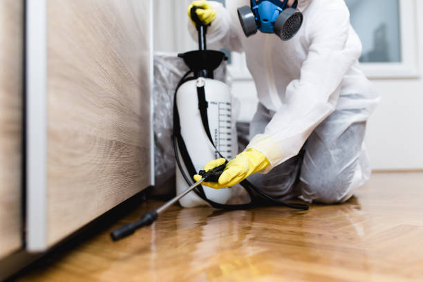 Best Wasp Removal Services  in Mount Ephraim, NJ