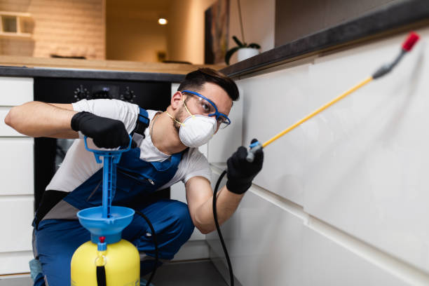 Best Pest Removal Services  in Mount Ephraim, NJ