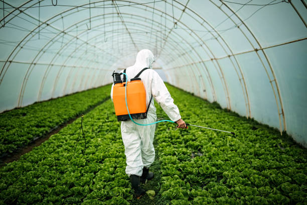 Best Pest Inspection Near Me  in Mount Ephraim, NJ