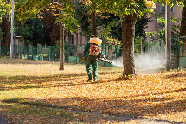 Spider Control Near Me in Mount Ephraim, NJ