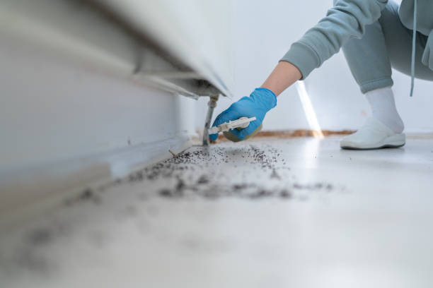 Best Exterminator Services  in Mount Ephraim, NJ