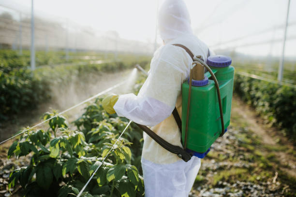 Wildlife Control Services in Mount Ephraim, NJ